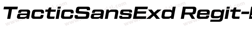 TacticSansExd Regit字体转换